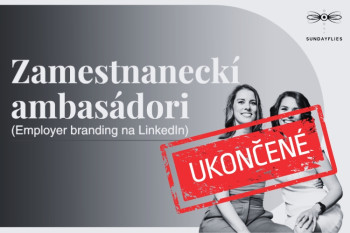 NOVEMBER 2024 ▪ ZAMESTNANECKÍ AMBASÁDORI (Employer branding na LinkedIn) I Bratislava